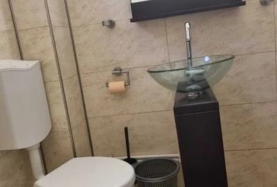 Apartament cu 2 camere semidecomandat, mobilat în Tudor Vladimirescu - 6