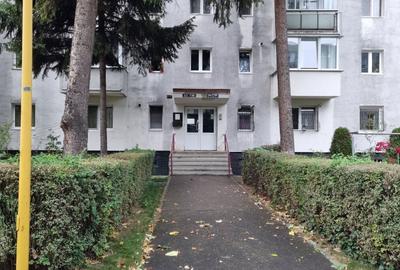 Apartament cu 2 camere decomandat în Cristian - 6