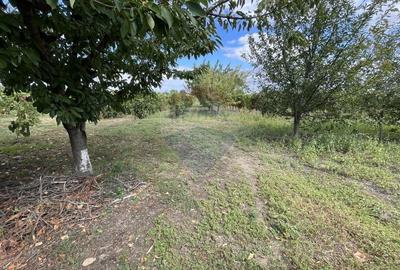 Casă individuală cu 6 camere cu Teren 1354 Mp în Țifești - 29