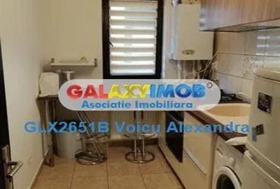 Garsoniera Bloc Nou Berceni - Metalurgiei - Drumul Binelui - 4
