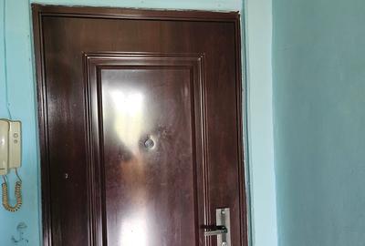 Apartament cu 2 camere decomandat în Ozana
