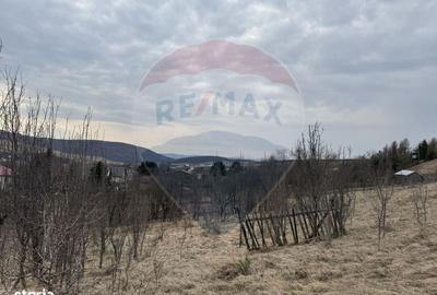Spațiu comercial, în Sălicea - 18