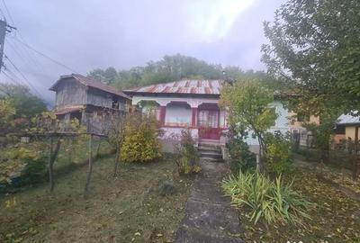 Casă cu 3 camere cu Teren 3410 Mp în Aluniș - 13