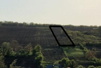 Teren agricol extravilan de 10500 mp, în Rediu Aldei