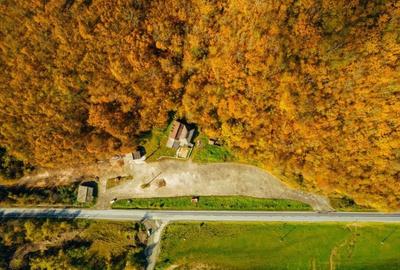 Pensiune 12 camere, vulcanizare, spălătorie pe DN7 - 8