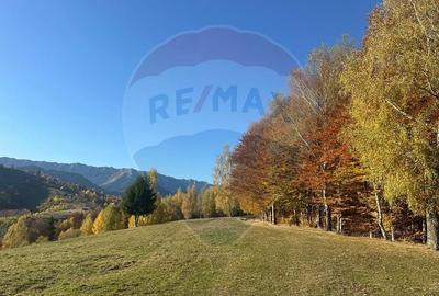 Oportunitate de investiție ! Teren de vis în Pestera - 125.370 mp - 14