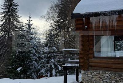 Casă cu 2 camere cu Teren 20000 Mp în Predeal