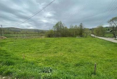 Teren de 1500 mp, în Vama Buzăului - 1