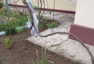 Casa de vanzare in Garbovi, jud. Ialomita - la doar 70 km de Bucuresti! - 8