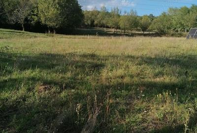 Teren de 6000 mp, în Bobâlna - 2