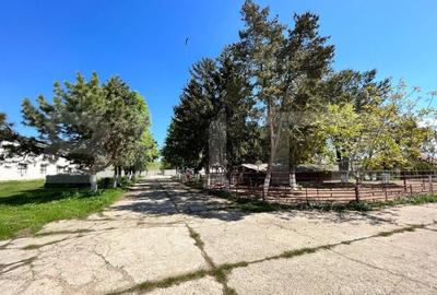 Teren Construcții intravilan de 45000 mp, în Brădești - 3