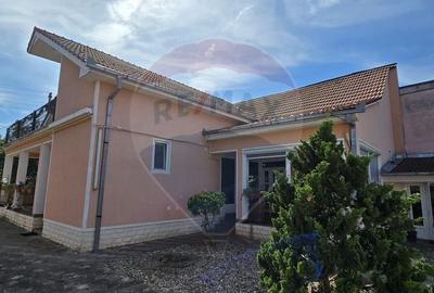 Casa cu etaj deosebita in Chisineu-Cris - un camin creat cu suflet - 17