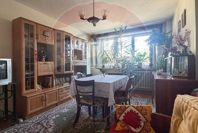 Apartament cu 3 camere decomandat în Valea Rosie - 1
