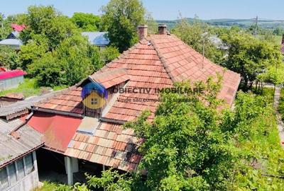 Casa traditionala Bodesti - 2