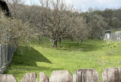 Spațiu comercial, în Aninoasa - 2