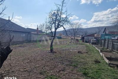 Teren de 2000 mp, în Hemeiuș - 5