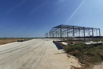 Hale noi in zona Gara Catelu, Drumul Intre Tarlale - 3