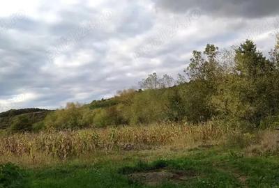 Casă cu 4 camere în Hațeg - 1