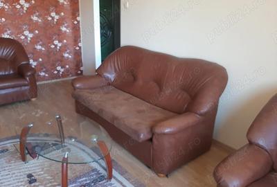 Apartament cu 2 camere semidecomandat, mobilat în Micălaca - 1
