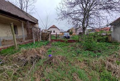 Casă individuală cu 4 camere cu Teren 1798 Mp în Iecea Mare - 11