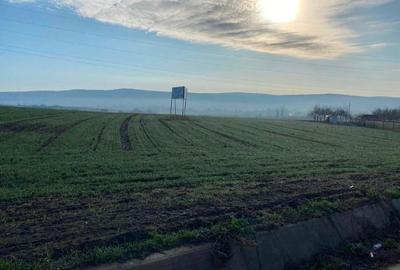 Teren 19200 mp  Grajduri jud Iasi - 1