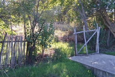 Teren Construcții intravilan de 1000 mp, în Tismana - 1