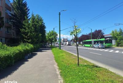 Spațiu comercial, de 68 mp, în Florilor - 4