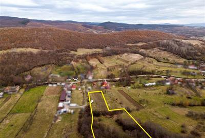 Teren intravilan de 7465 mp, în Peștiș - 3