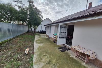 Proprietate ideala pentru familie extinsa sau investitie  Serbanesti, Bacau - 3