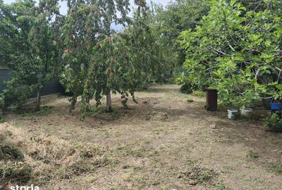 Casă cu 3 camere cu Teren 540 Mp în Bujac - 3