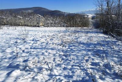 Teren 1344 mp  de vanzare cu autorizatie de constructie str Cindrel - 8
