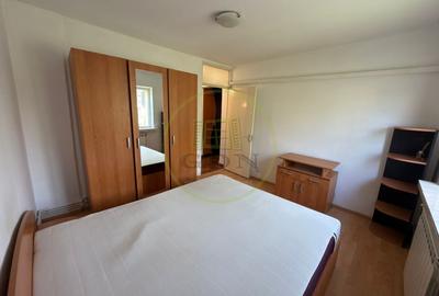 Apartament cu 2 camere decomandat, mobilat în Brazda lui Novac - 4