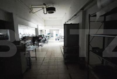 Oportunitate! Teren intravilan 20000 mp si spatiu industrial - 13