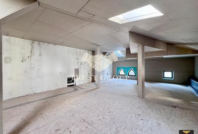 Casa individuala Gradina Icoanei | 2 Locuri Parcare | 253 mp curte libera - 28