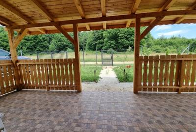 Proprietate specială, de 84 mp, în Dumbrăvița - 3