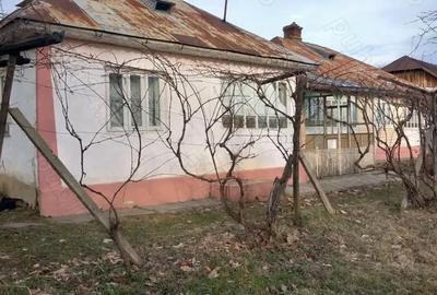 Casă cu Teren 4200 Mp în Poiana - 3