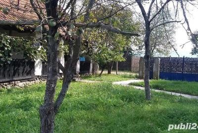 Casă cu 4 camere în Bretea Streiului - 2