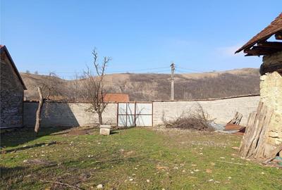 Ciclova, Teren Intravilan, Centru, Pret Negociabil - 29