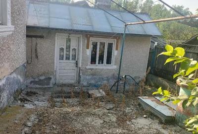 Casă în Livezi - 1