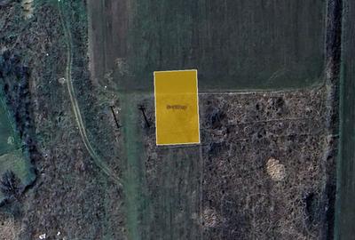 De vanzare 3 parcele de teren, Mosnita Veche - 6