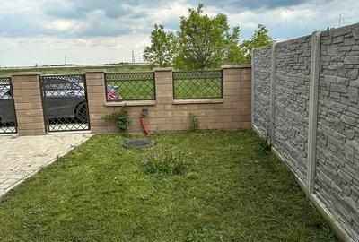 Casă cu 3 camere cu Teren 260 Mp în Timișoara - 10