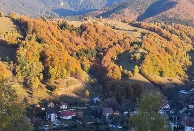 Proprietar, vand teren intravilan cu priveliste asupra Muntilor Bucegi - 10