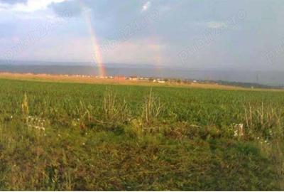 Teren în Valea Lupului - 1