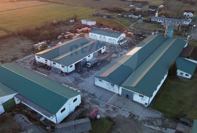 Spatiu industrial de vanzare 4,500mp HALE / 35,0000mp TEREN - 6