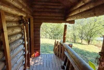Vand cabana Valea Ariesului - 2