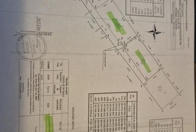 Teren de 542 mp, în Snagov - 2