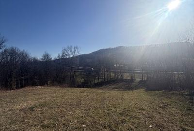 Teren de 5000 mp, în Exterior Vest