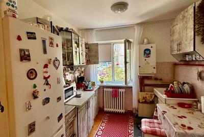 Apartament cu 2 camere semidecomandat în Gojdu - 10