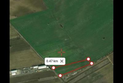 Teren de 8113 mp, în Ciorogârla - 2