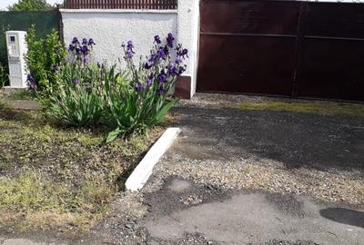 Casă individuală cu 2 camere cu Teren 3525 Mp în Șauaieu - 4